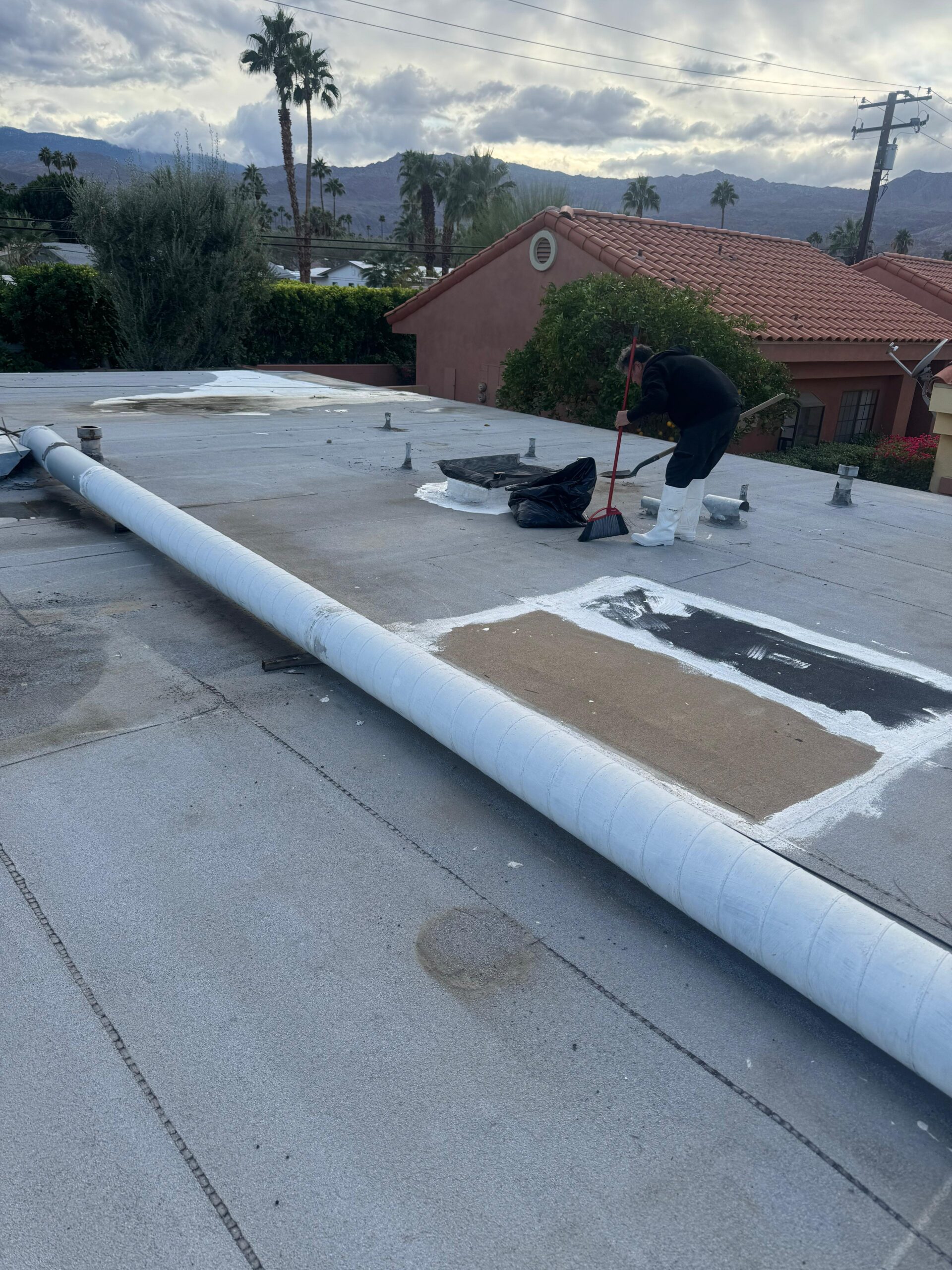 whatsapp image 2026 01 31 at 9.21.41 pm