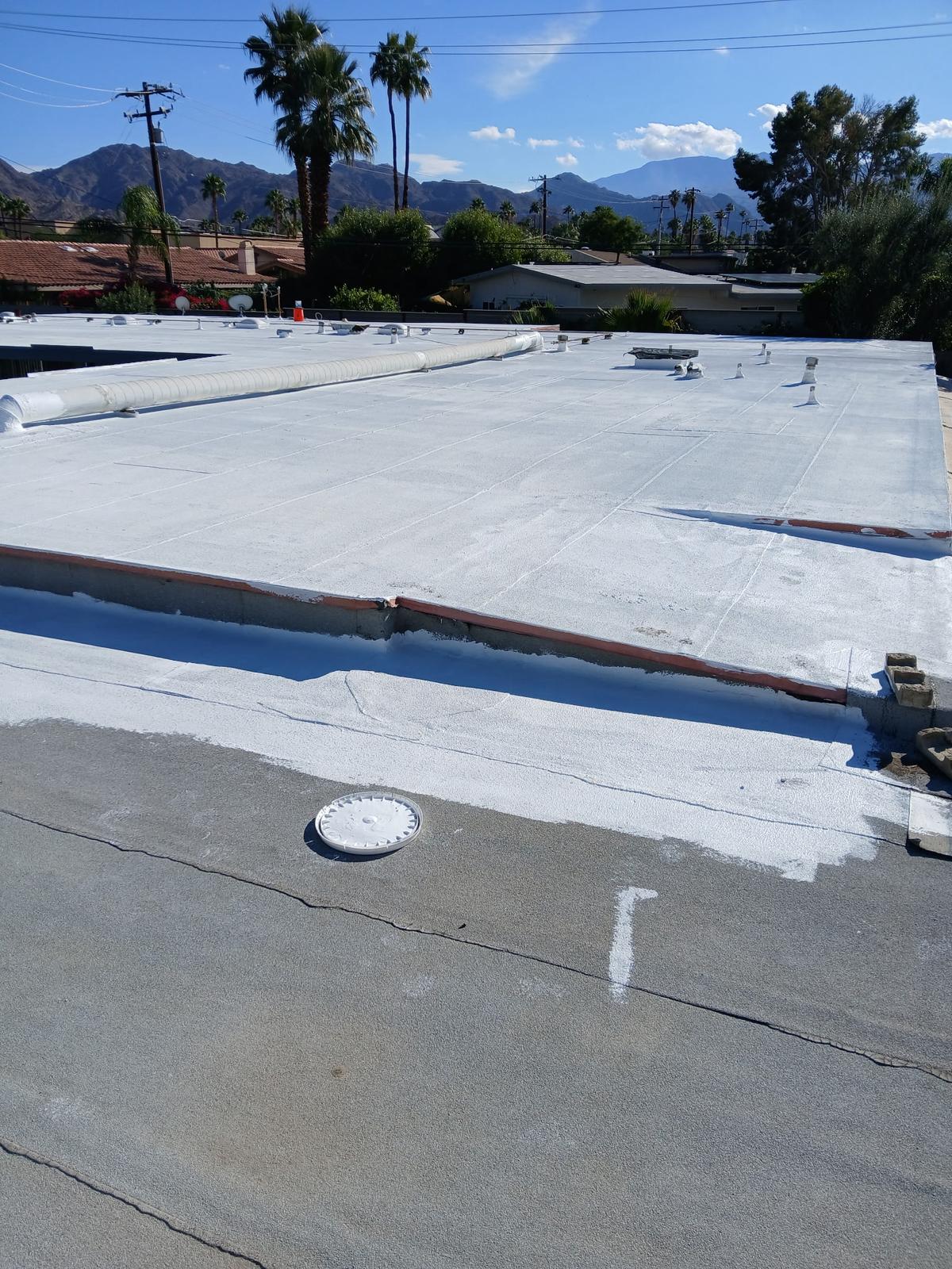 whatsapp image 2026 01 31 at 9.21.43 pm (1)