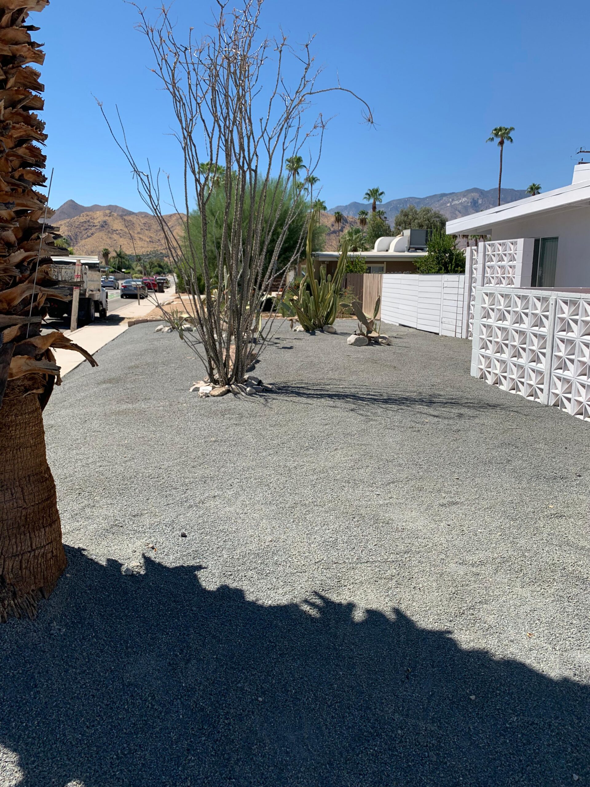 whatsapp image 2026 02 03 at 11.01.21 pm