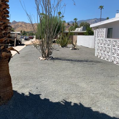 whatsapp image 2026 02 03 at 11.01.21 pm